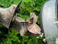 Rusty Propeller on ship waiting in a dry dock for the start Royalty Free Stock Photo