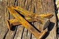 Rusty railroad spikes laying on ground in a pile Royalty Free Stock Photo