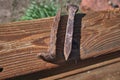 Rusty Railroad Spikes Royalty Free Stock Photo