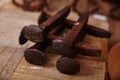 Rusty Railroad Spikes on Wooden Texture - Vintage Industrial Close-up Royalty Free Stock Photo