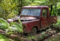 Rusty Red Car Lying Abandoned In A Forest Background Surrounded By Trees
