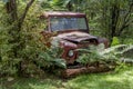 Rusty Red Car Lying Abandoned In A Forest Background Surrounded By Trees