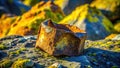 Rusty relic amidst mossy rocks a study in erosion and time. Generative AI Royalty Free Stock Photo