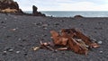 Rusty remains of the wreck of fishing trawler Epine at DjÃÂºpalÃÂ³nssandur beach on west coast of SnÃÂ¦fellsnes, Iceland. Royalty Free Stock Photo