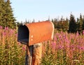 Rusty rural mailbox Royalty Free Stock Photo