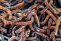 Rusty Rust Chains Background Close Up