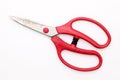 Rusty scissors Royalty Free Stock Photo