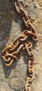rusty scrap metal chains