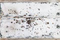 rusty and scratched metal panel background with bullet holes Royalty Free Stock Photo