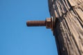 Rusty screw on a wooden pole outdoors Royalty Free Stock Photo