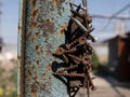 Rusty screws on the magnet on the iron pole in the street