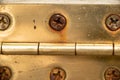 Rusty screws in brass hinge