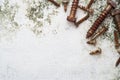 Rusty screws pattern. old steel bolts on grungy white wood background top view with copy space. Royalty Free Stock Photo