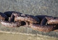 Rusty sea chain close-up Royalty Free Stock Photo