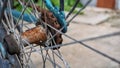 Rusty shaft and chain of bicycle, Old equipment. Royalty Free Stock Photo
