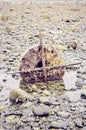 Rusty ship motor on rocky beach