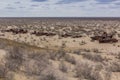 Rusty ships at the ship graveyard in former Aral sea port town Moynaq Mo ynoq or Muynak , Uzbekist Royalty Free Stock Photo