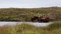 Shipwreck stranded on Snaefellsnes coast, Iceland Royalty Free Stock Photo