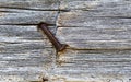 1850 Log Cabin Square Nail