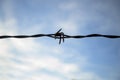 rusty steel barbed wire with blue sky background with clouds in horizontal