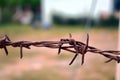 Rusty steel barbed wire on blurred background