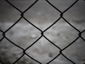 Rusty steel wire mesh fence. Royalty Free Stock Photo