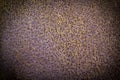 Rusty surface Royalty Free Stock Photo