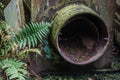 rusty tank and fern Royalty Free Stock Photo