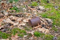 A rusty tin can thrown out in the forest. The concept of environmental pollution Royalty Free Stock Photo