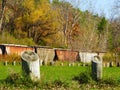 Rust covered train cars holding coal or salt in Lansing NYS