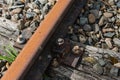 Rusty train tracks from close Royalty Free Stock Photo