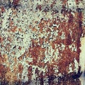 Rusty trash background Royalty Free Stock Photo