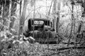 Rusty truck in woods Royalty Free Stock Photo