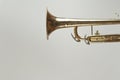Rusty Trumpet Royalty Free Stock Photo