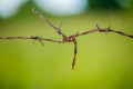 Rusty twisted wire on a green background Royalty Free Stock Photo