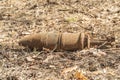 Rusty unexploded bombs from the war