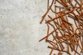 Rusty nails on a cement metal background Royalty Free Stock Photo