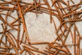 Rusty nails on a cement metal background Royalty Free Stock Photo