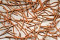 Rusty nails on a cement metal background Royalty Free Stock Photo