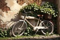 Rusty Vintage Bicycle Leaning Against a Dilapidated Brick Wall Overgrown with Ivy Leaves, Gently Swaying Royalty Free Stock Photo