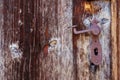 Rusty vintage door handle on an old wooden door Royalty Free Stock Photo