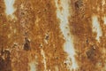 Rusty vintage metal background texture iron old rust grunge steel metallic dirty brown wall. Brown and yellow rust on white metal Royalty Free Stock Photo