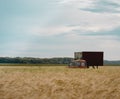 Rusty vintage red truck abandoned in rural area among wheat field. Royalty Free Stock Photo