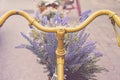 Rusty tricycle bike with flower pot in tray against Royalty Free Stock Photo