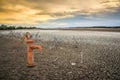 Rusty water pump on land.