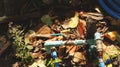 Rusty Water Valve and Pipe on Wet Garden Ground with Dry Leaves, Grass and Wood Royalty Free Stock Photo