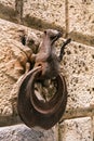 Rusty and weathered metal horse hitching ring on a wall of an old building in Siena, Italy Royalty Free Stock Photo