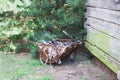 Old rusty wheelbarrow, Royalty Free Stock Photo