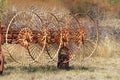 Rusty wheels of a tedder in a row Royalty Free Stock Photo