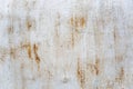 Rusty white sheet of iron. Backgrounds and textures. Space for text